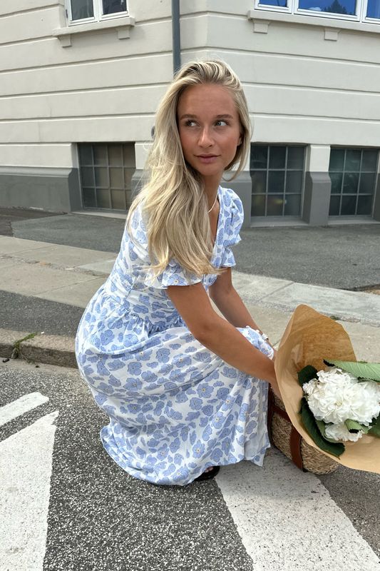 Adel Long SS Dress