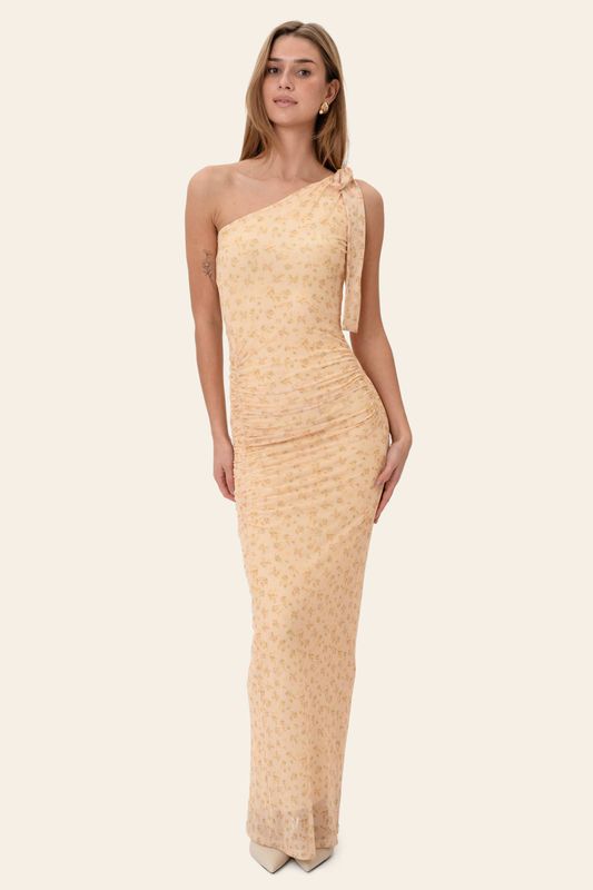 Nova Mesh Dress